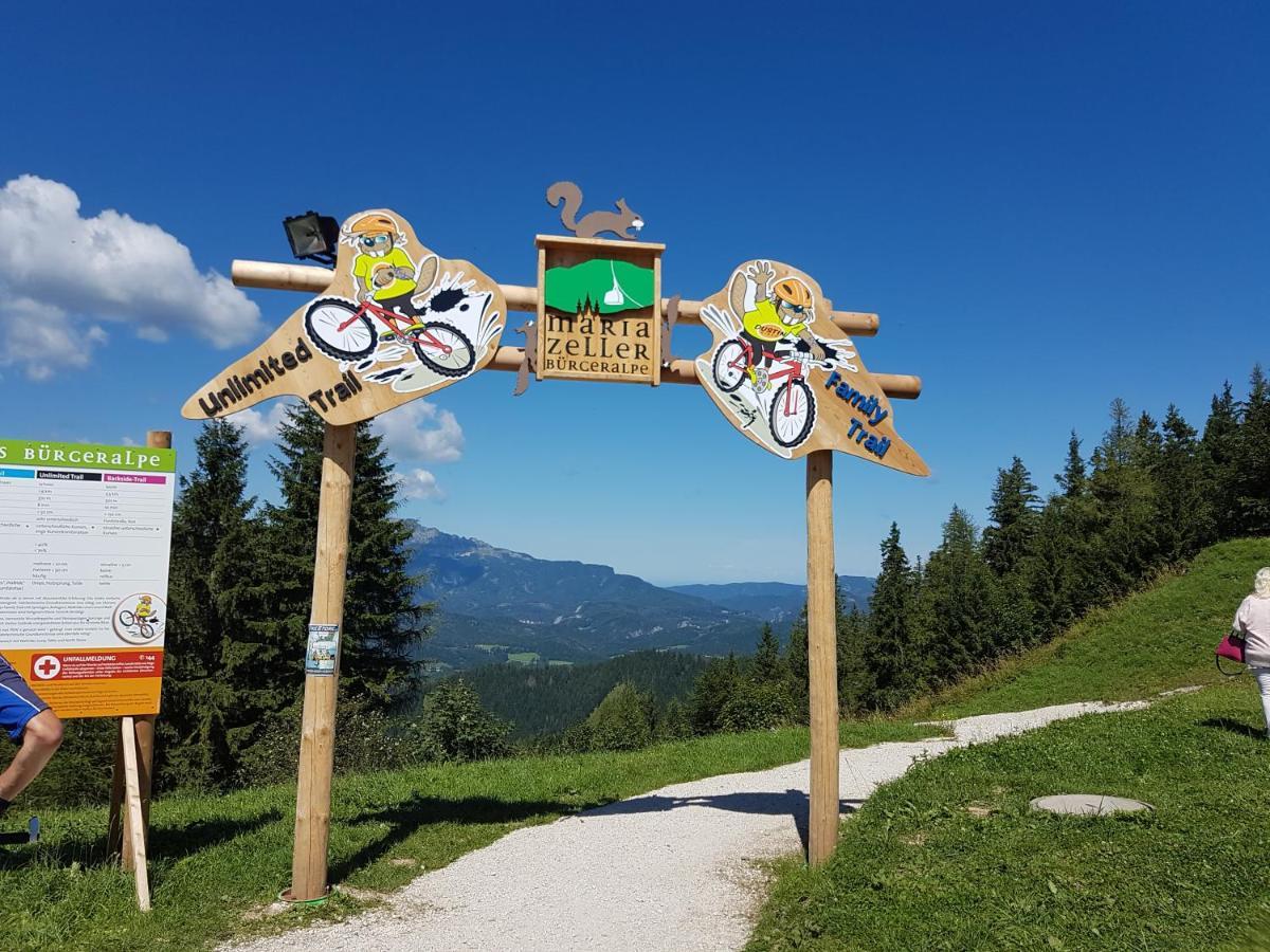 Apartment Mariazell Buergeralpe Экстерьер фото