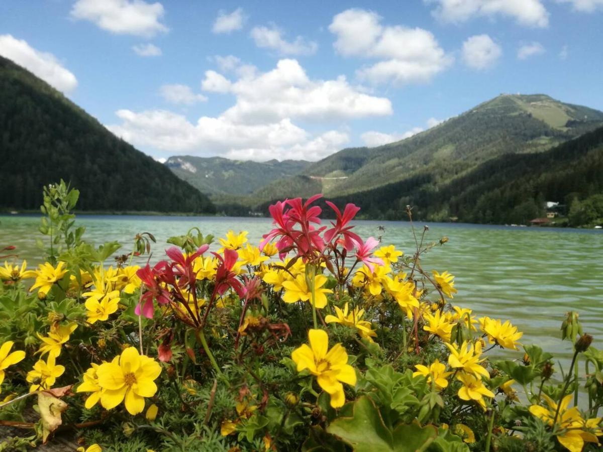 Apartment Mariazell Buergeralpe Экстерьер фото